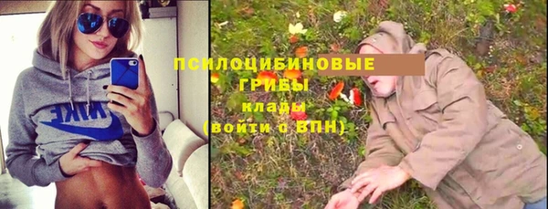 мяу мяу мука Вяземский