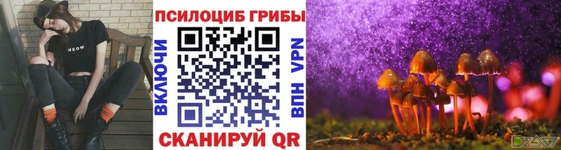 Галлюциногенные грибы мухоморы  Купить где  Пятигорск 